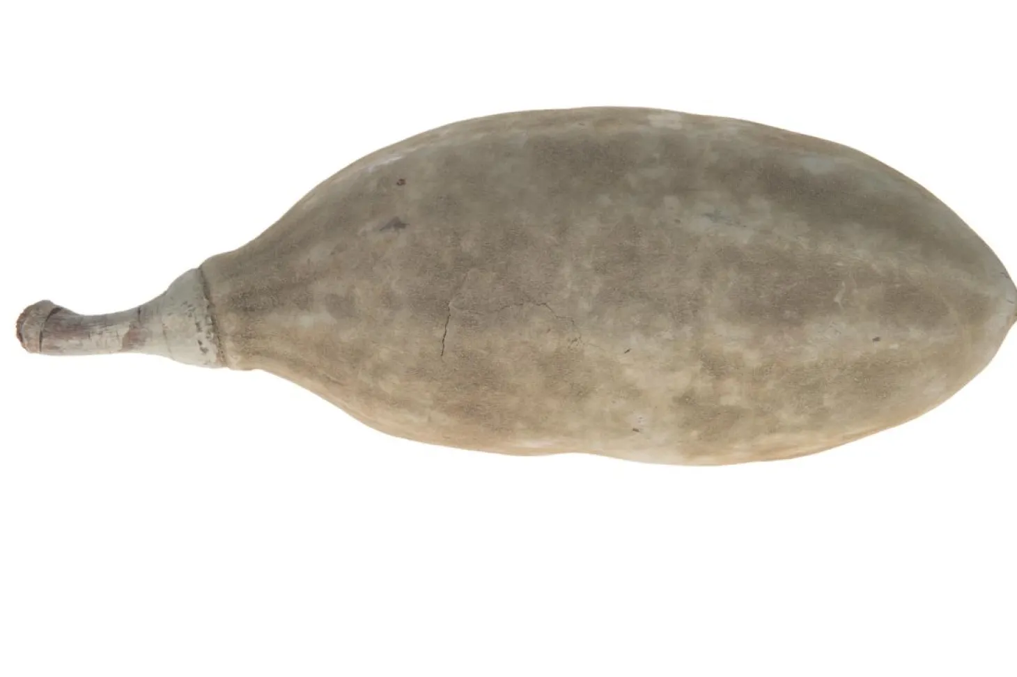 + Dekofrucht Taupe M