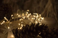 + Lichterkette LED Outdoor 6 meter gold