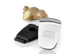 Ad Hoc Zenzero Ingwer und Spezialreibe