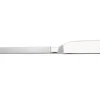 Alessi DRY - Fischmesser