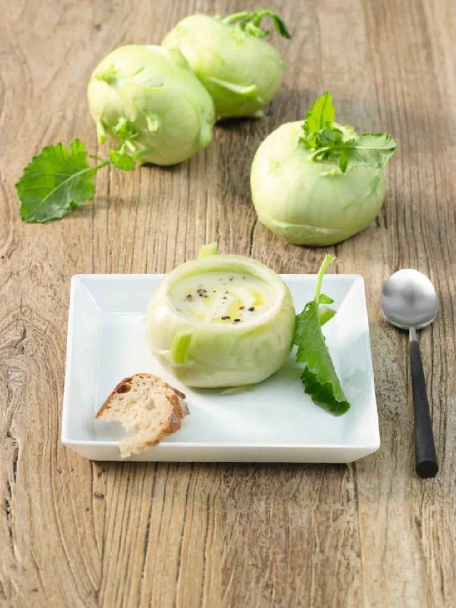 ASA Selection 250° C plus - Ess-Servierteller quadratisch 23x23 cm