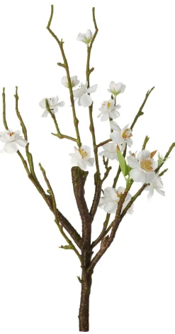 ASA Selection Kirschblütenstrauch weiß L. 40,5 cm