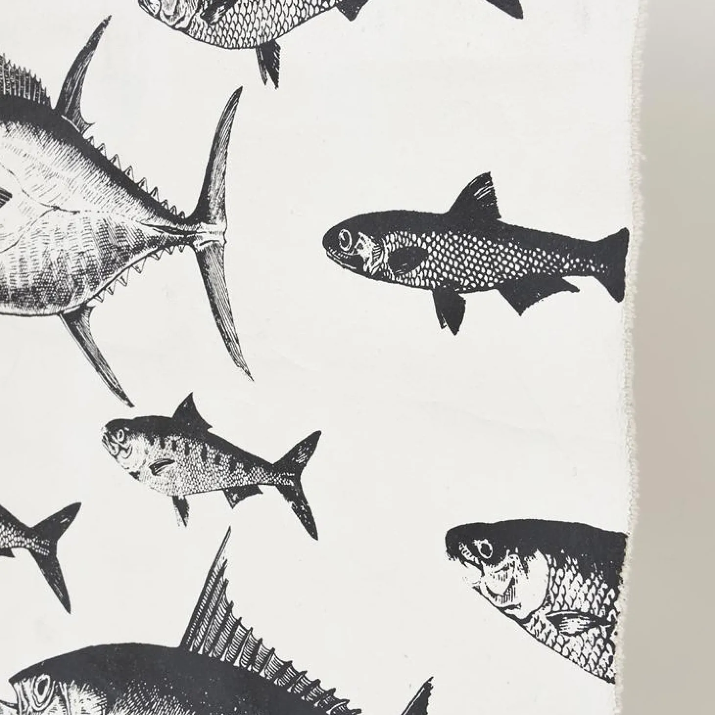 Batela Fische - Bild mit Posterleiste