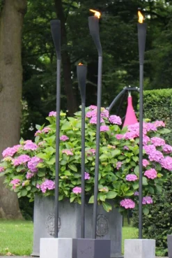 Cacoon Base Jive-Vista Natural für Fackel