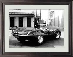 Cadr Aven McQueen Jaguar 60*80 cm weiß