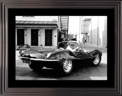 Cadr Aven McQueen Jaguar 60*80 cm weiß