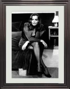 Cadr Aven R. Schneider 60*80 cm weiß