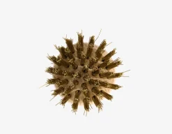 Esschert Grillbürste