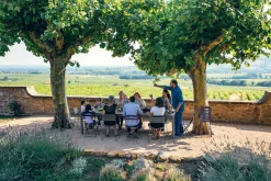 Fermob Ribambelle XL Tisch 299x100 3 Einlegeplatten Honig