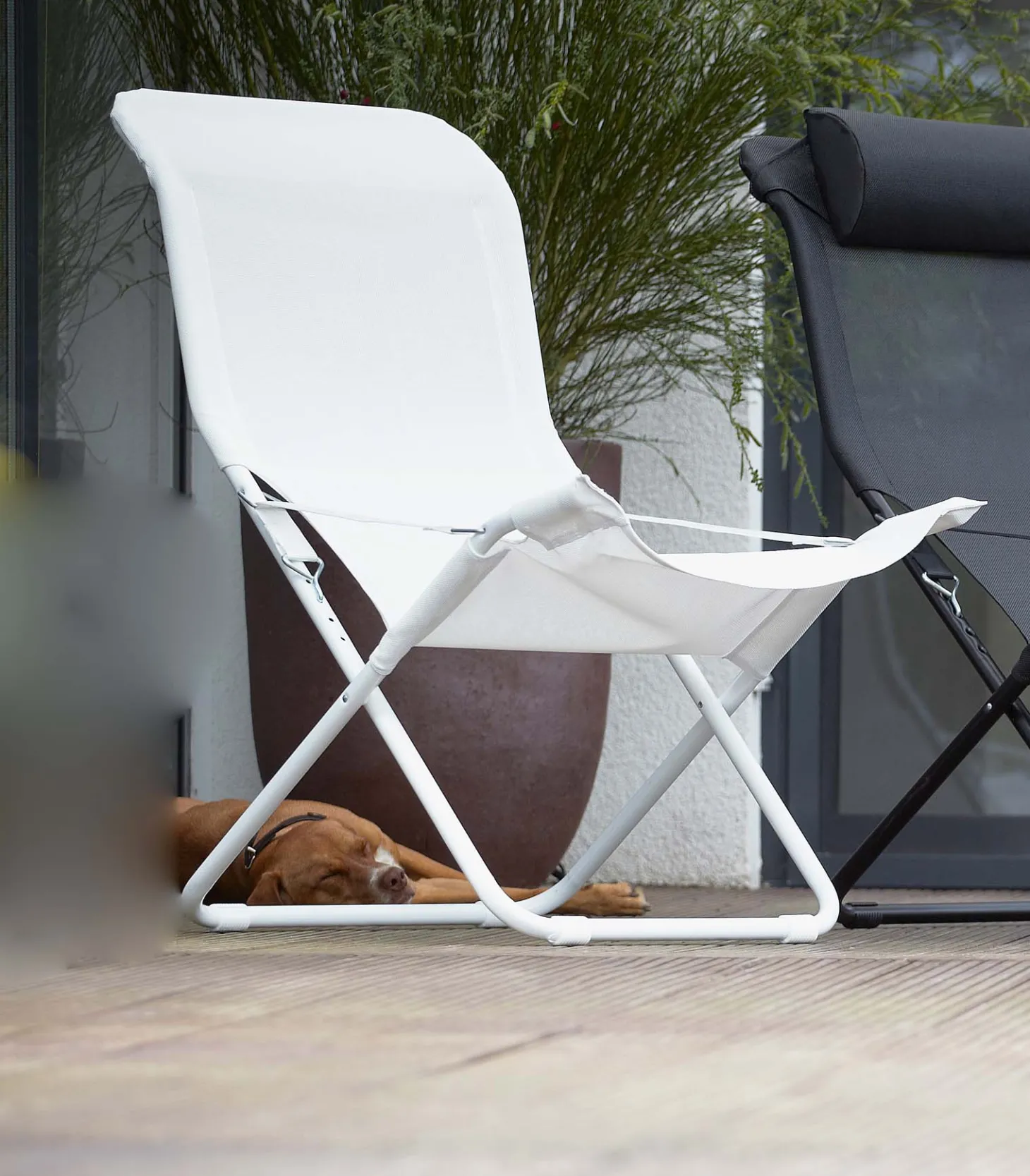 Fiam Outdoor Sonnensessel Fiam Fiesta limited edition Weiß