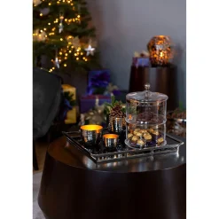 Fink Platinum Aufbewahrungsglas mit Deckel