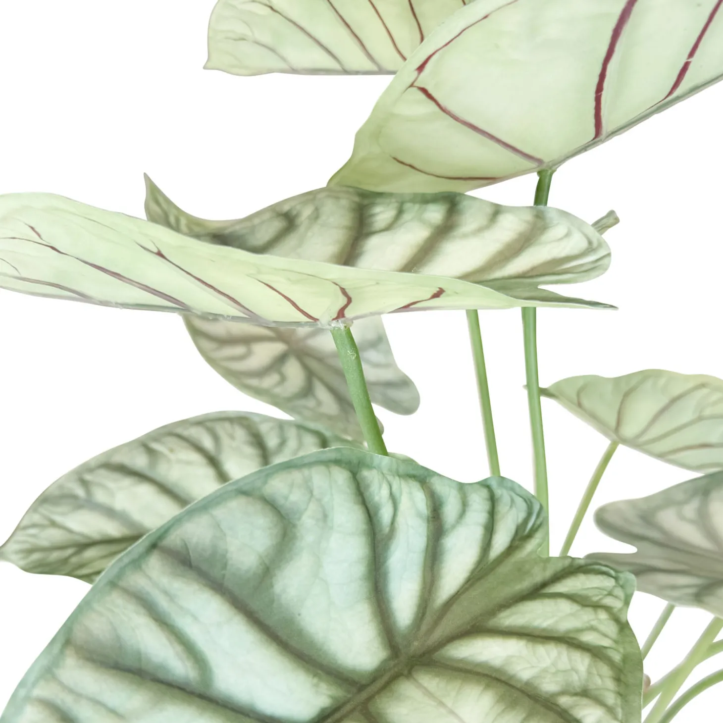 Fleur Ami Alocasia - Elefantenohr Kunstpflanze 66 cm