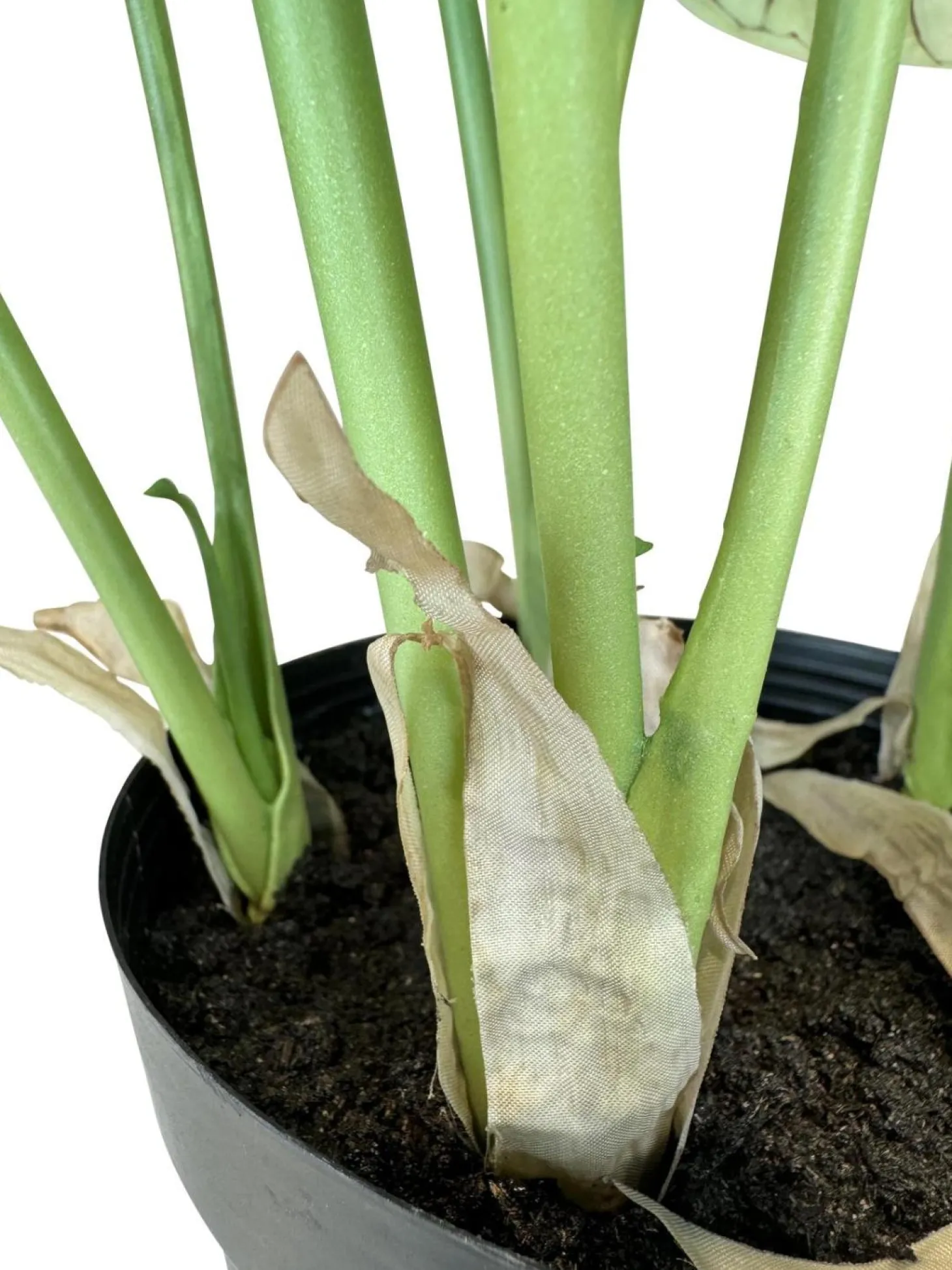 Fleur Ami Alocasia - Elefantenohr Kunstpflanze 66 cm