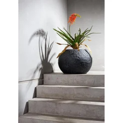 Fleur Ami Aloe Kunstpflanze, rote Blüten