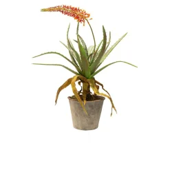 Fleur Ami Aloe Kunstpflanze, rote Blüten