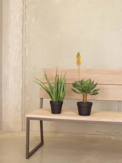 Fleur Ami Aloe Vera Kunstpflanze, Höhe 50 cm