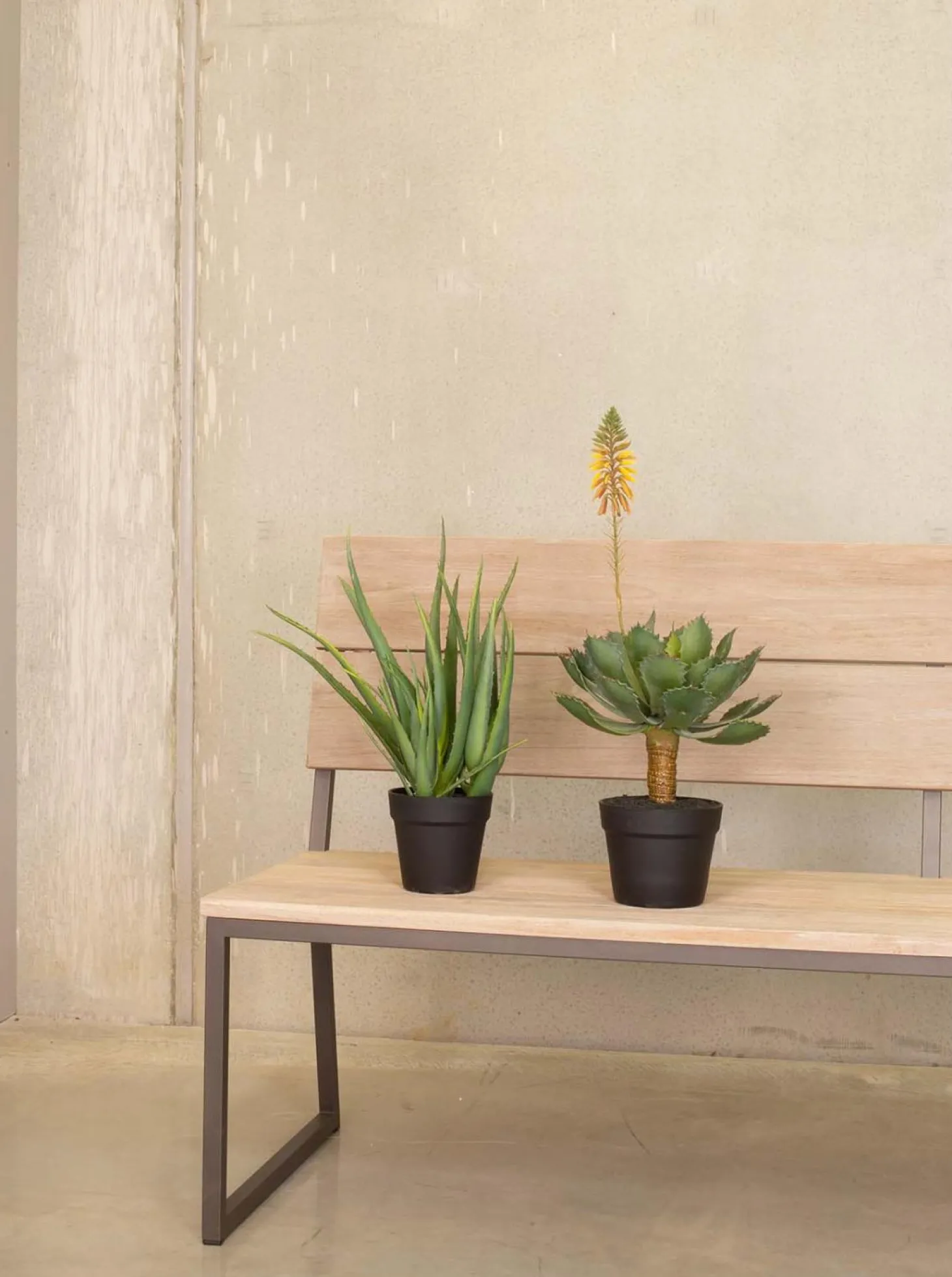 Fleur Ami Aloe Vera Kunstpflanze, Höhe 50 cm