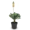 Fleur Ami Aloe Vera Kunstpflanze, blühend 63 cm