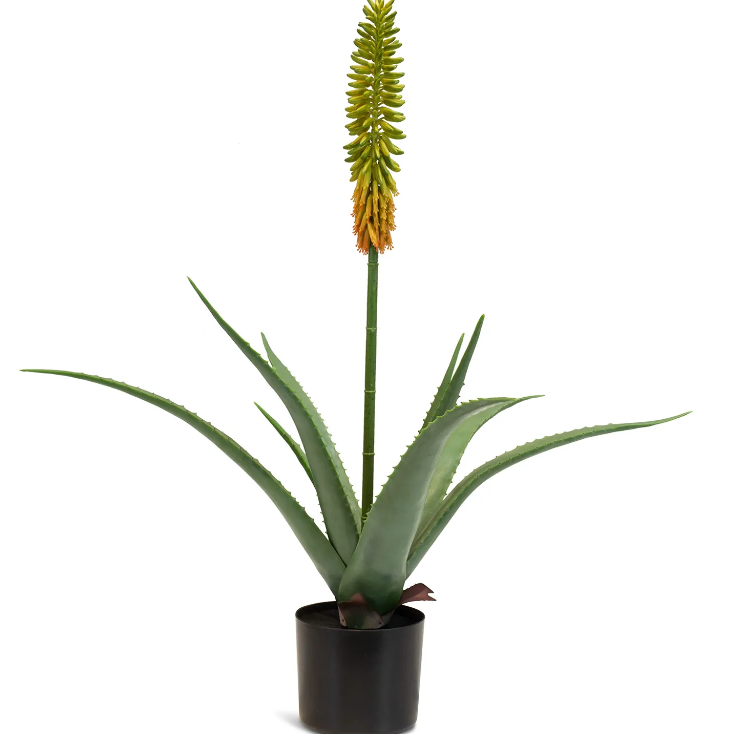 Fleur Ami Aloe Vera Kunstpflanze, blühend 63 cm