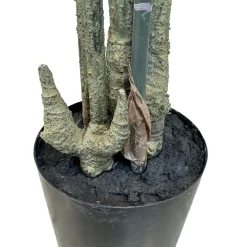 Fleur Ami Bambus Kunstpflanze, UV Stabil 210 cm