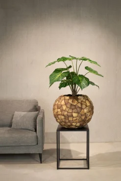 Fleur Ami Calathea Kunstpflanze, UV Stabil, Höhe 70 cm