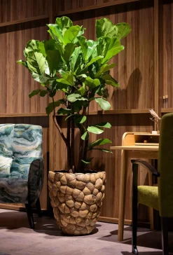 Fleur Ami Coconut braunes Pflanzgefäß Ø 45 cm, Höhe 50 cm