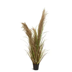 Fleur Ami Cortaderia - Pampasgras Kunstpflanze, Höhe 100 cm
