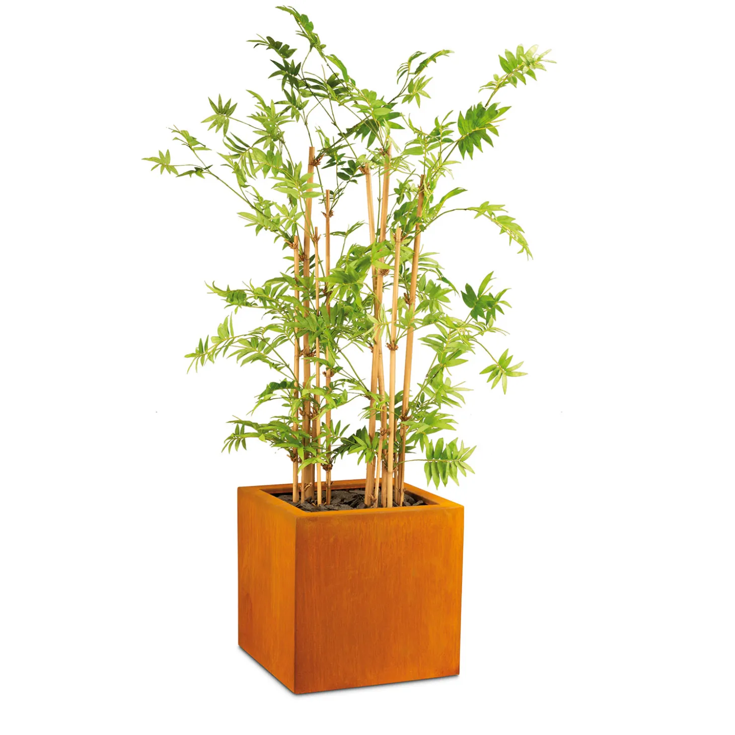 Fleur Ami Corten Stahl Pflanzwürfel 68 cm