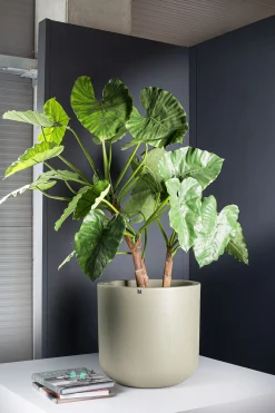 Fleur Ami Corum Übertopf für Pflanzen olivgrau Ø 48,5 cm, Höhe 46,5 cm