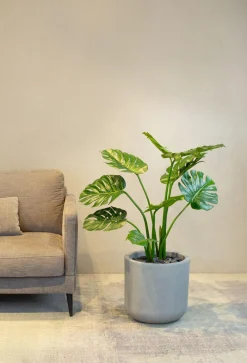 Fleur Ami Corum Übertopf für Pflanzen olivgrau Ø 48,5 cm, Höhe 46,5 cm