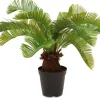 Fleur Ami Cycas Kunstpflanze 59 cm