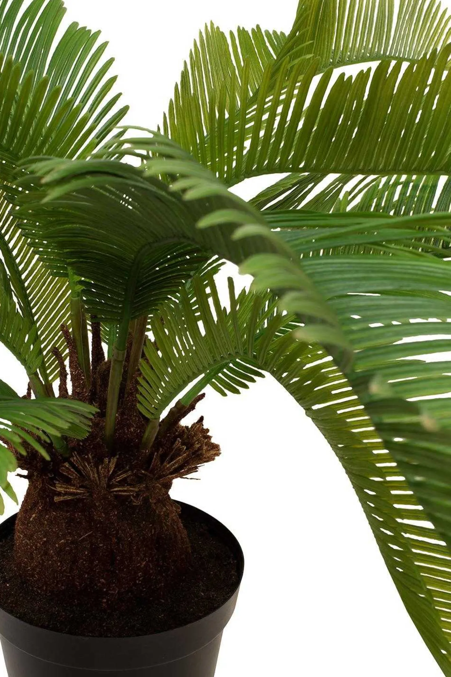 Fleur Ami Cycas Kunstpflanze 59 cm