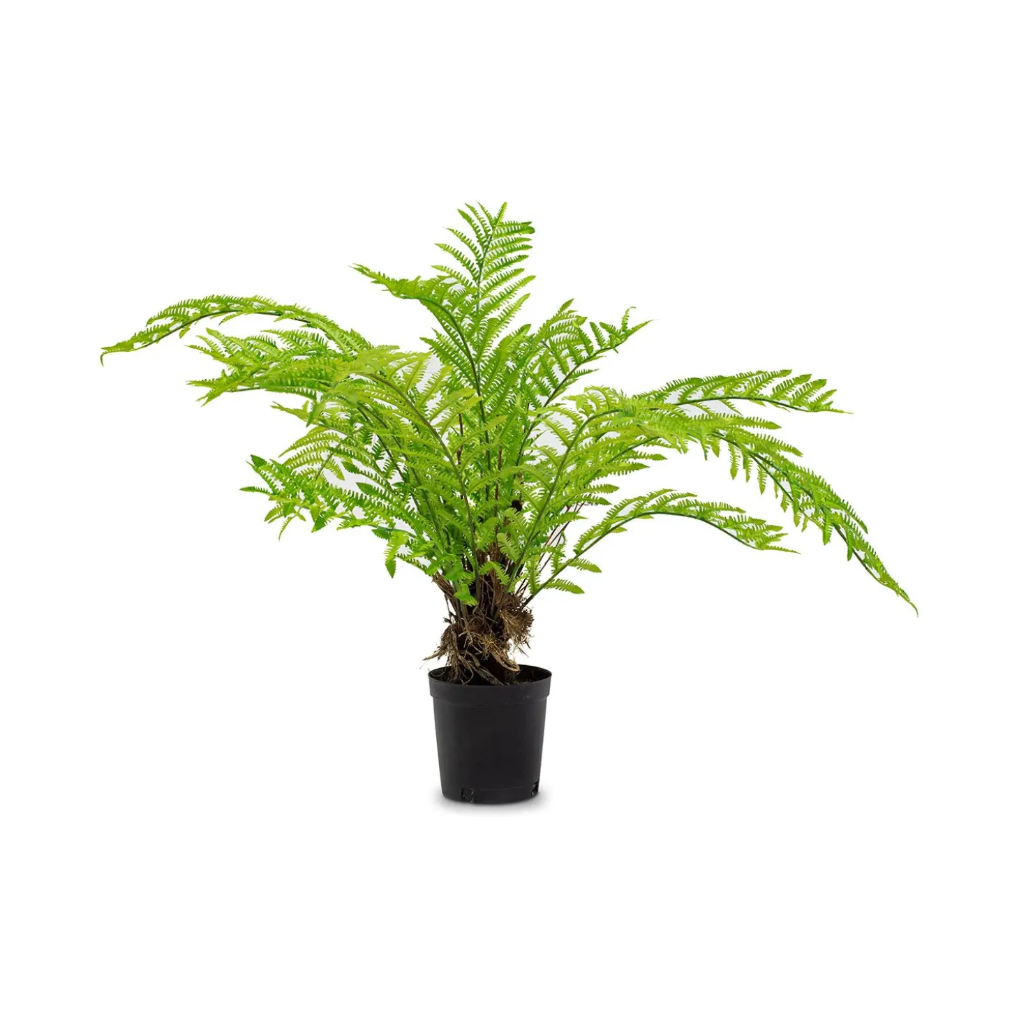 Fleur Ami Farn Kunstpflanze, 90 cm