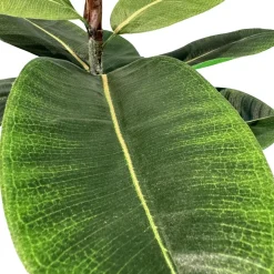 Fleur Ami Ficus Elastica - künstlicher Gummibaum 150 cm