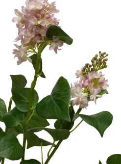 Fleur Ami Flieder (Syringa) Kunstpflanze Höhe 79 cm