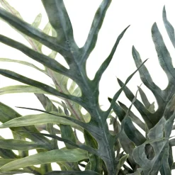 Fleur Ami Goldtüpfelfarn - Phebodium aureum Kunstpflanze, UV Stabil