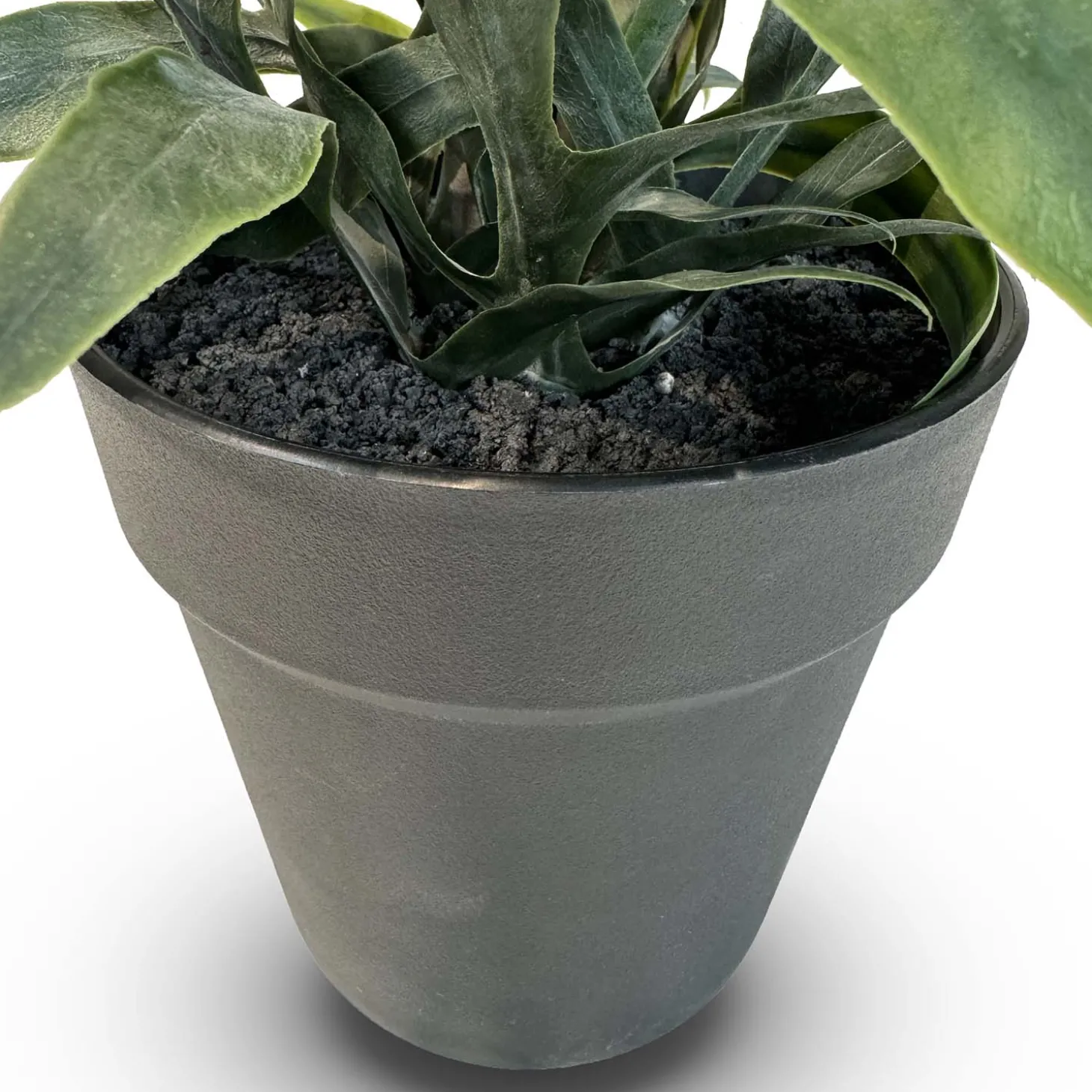 Fleur Ami Goldtüpfelfarn - Phebodium aureum Kunstpflanze, UV Stabil