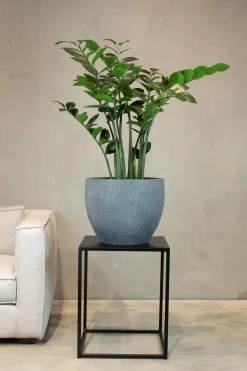 Fleur Ami Gritto handgefertigter Übertopf aus Beton 36 x 30 cm anthrazit