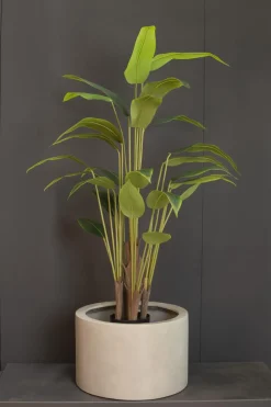 Fleur Ami Hochwertige Bananenpflanze - Musa künstlich