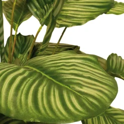 Fleur Ami Hochwertige Calathea - Korbmarante Kunstpflanze grün