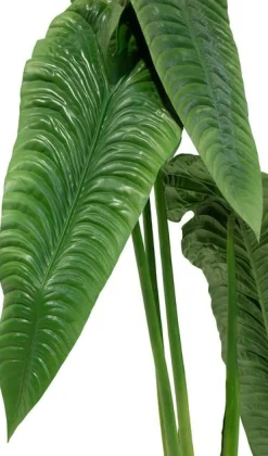 Fleur Ami Hohe Kunstpflanze - Alocasia Calidora - Elefantenohr