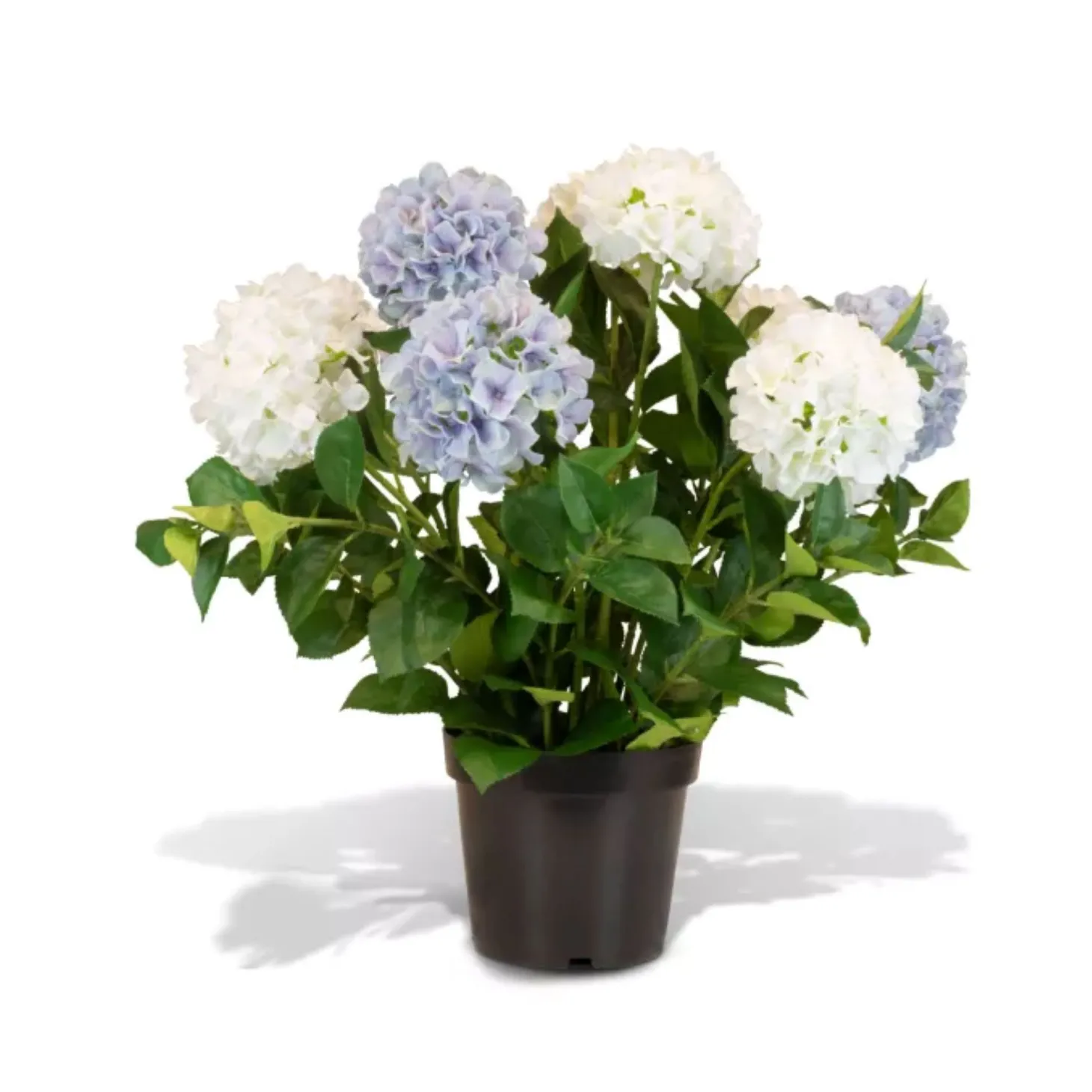 Fleur Ami Hortensie - Hydrangea Kunstpflanze, 10 Blüten, Höhe 73 cm, weiß-blau