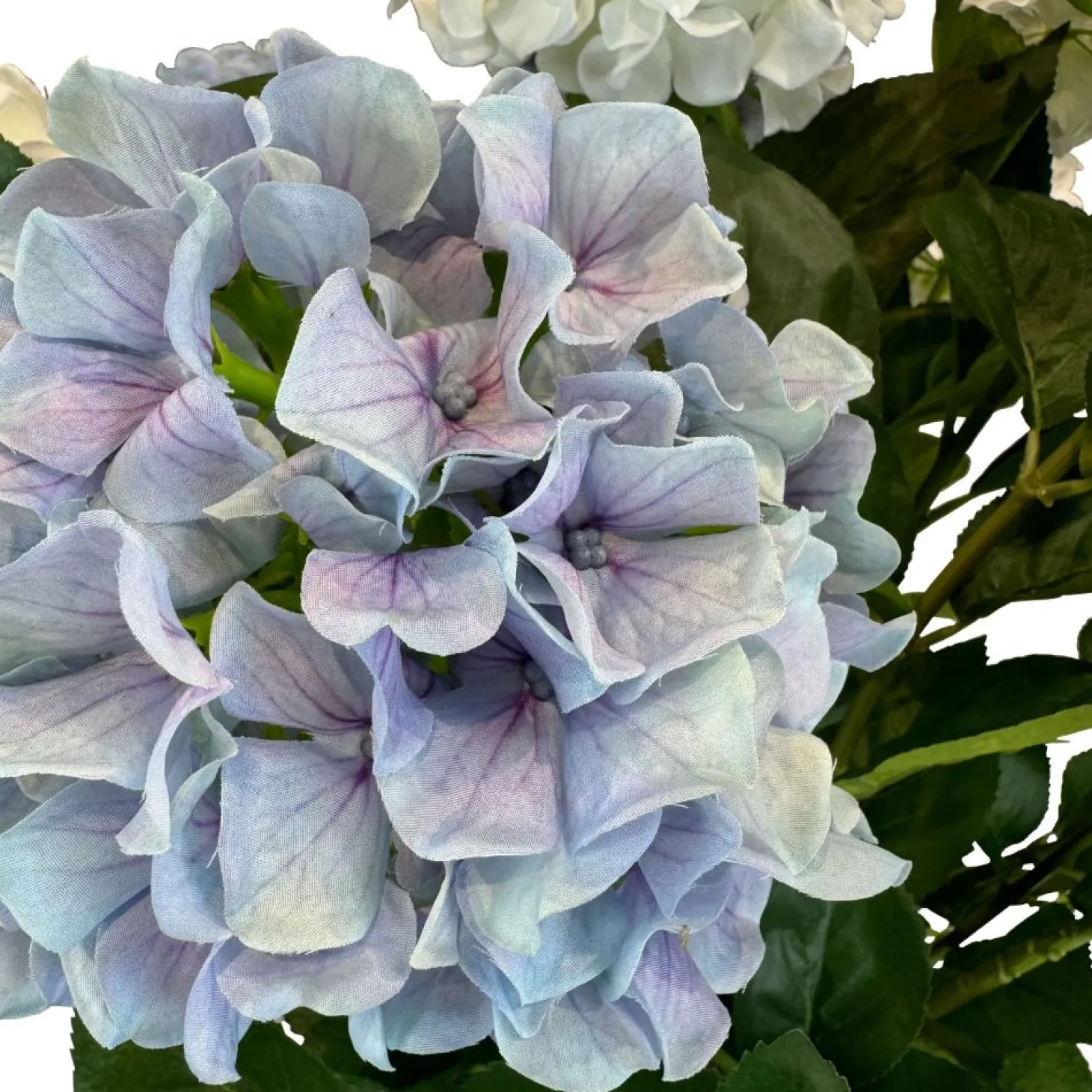 Fleur Ami Hortensie - Hydrangea Kunstpflanze, 10 Blüten, Höhe 73 cm, weiß-blau