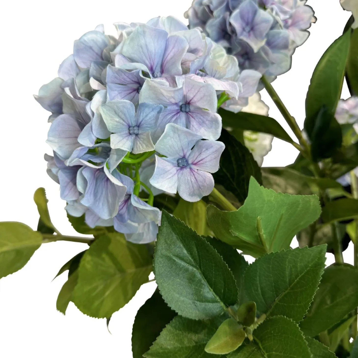 Fleur Ami Hortensie - Hydrangea Kunstpflanze, 10 Blüten, Höhe 73 cm, weiß-blau