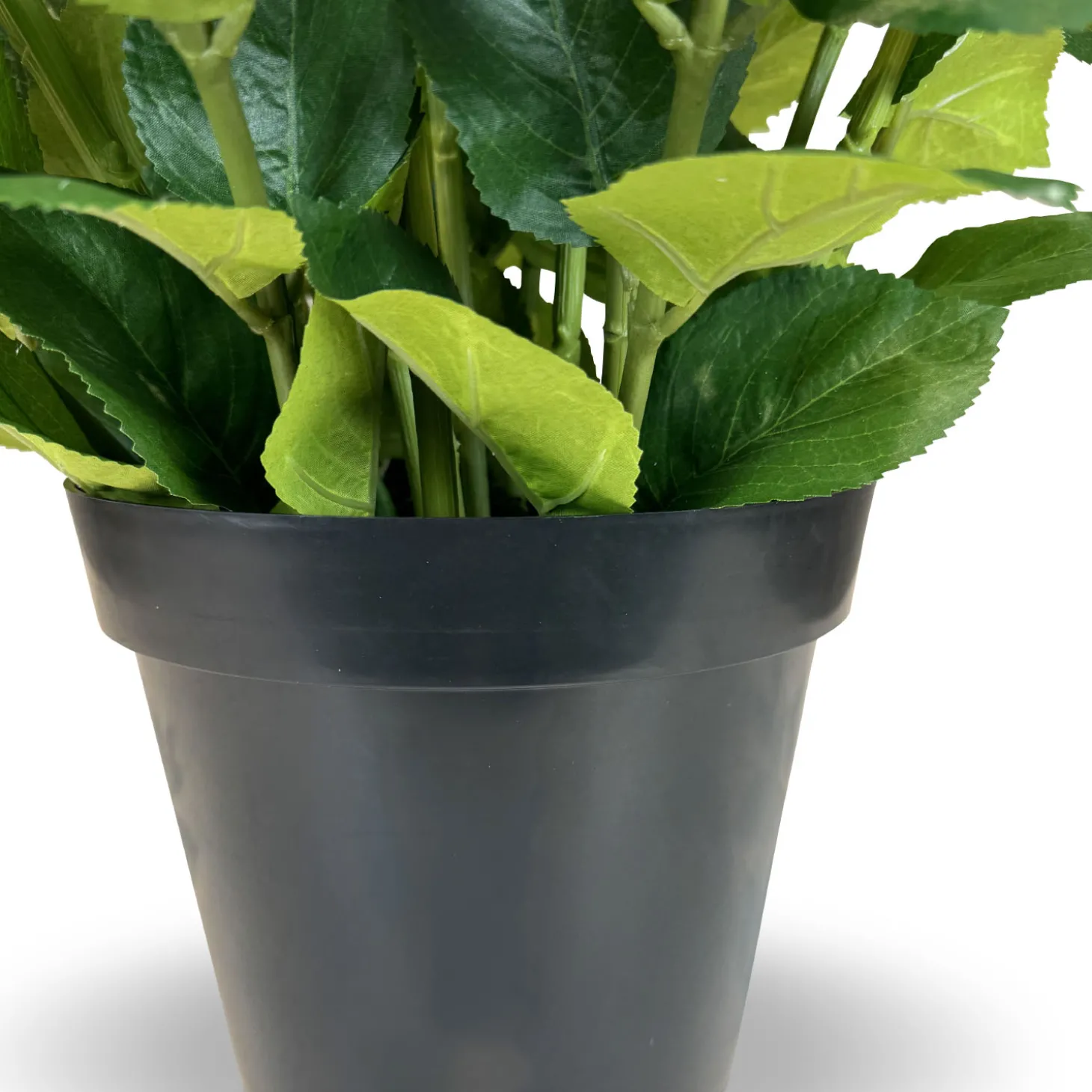 Fleur Ami Hortensie - Hydrangea Kunstpflanze, 10 Blüten, Höhe 73 cm, weiß-blau