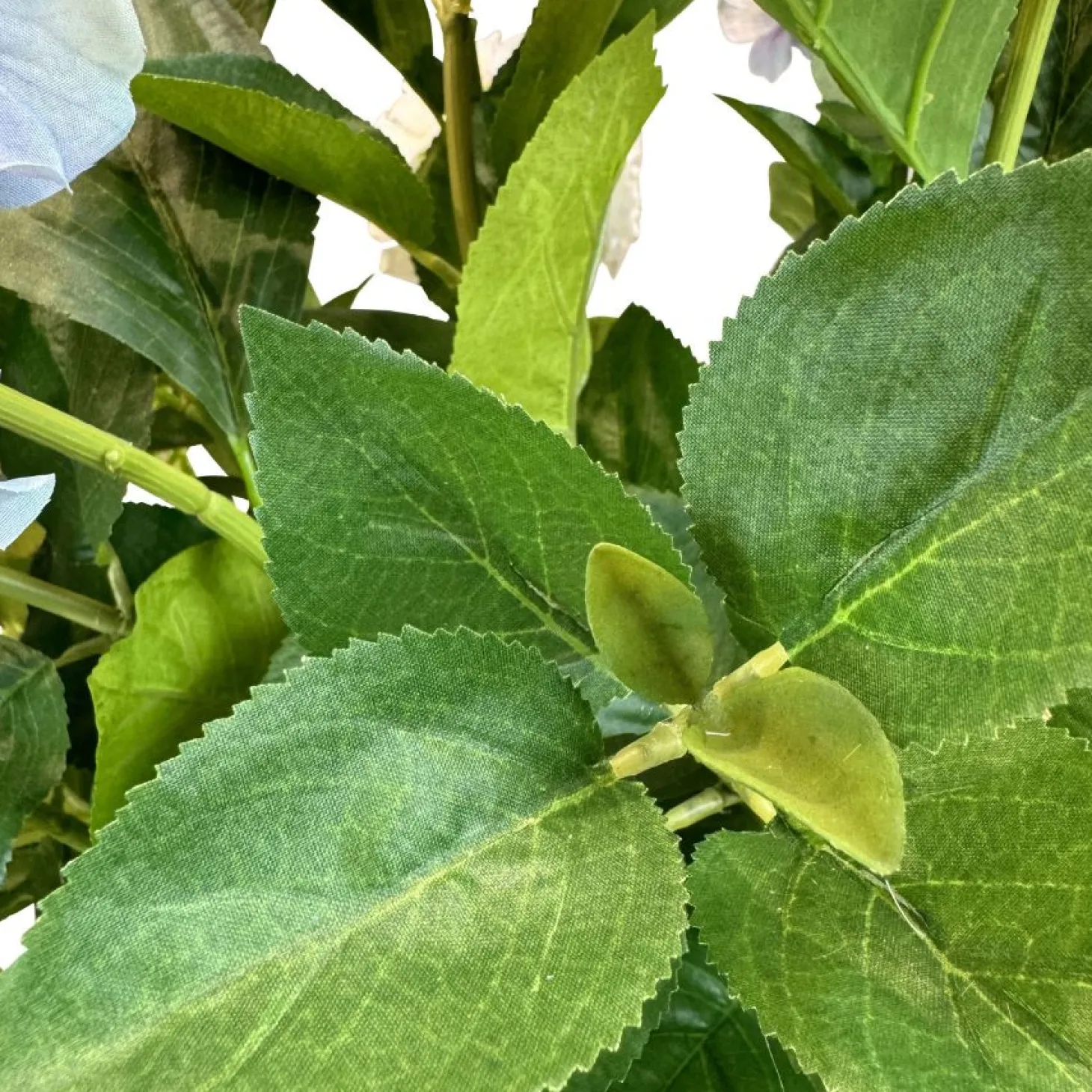 Fleur Ami Hortensie - Hydrangea Kunstpflanze, 10 Blüten, Höhe 73 cm, weiß-blau