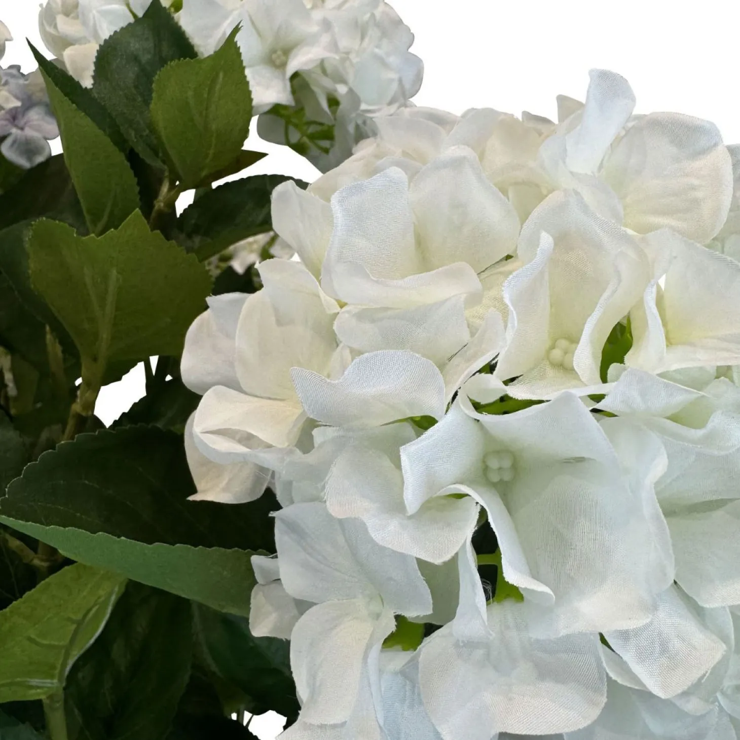 Fleur Ami Hortensie - Hydrangea Kunstpflanze, 10 Blüten, Höhe 73 cm, weiß-blau