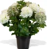 Fleur Ami Hortensie - Hydrangea Kunstpflanze, 10 Blüten, Höhe 73 cm, weiß-grün