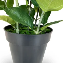 Fleur Ami Hortensie - Hydrangea Kunstpflanze, 3 Blüten, grün