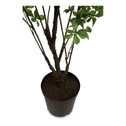 Fleur Ami Japanische Prachtglocke Kunstpflanze 175 cm